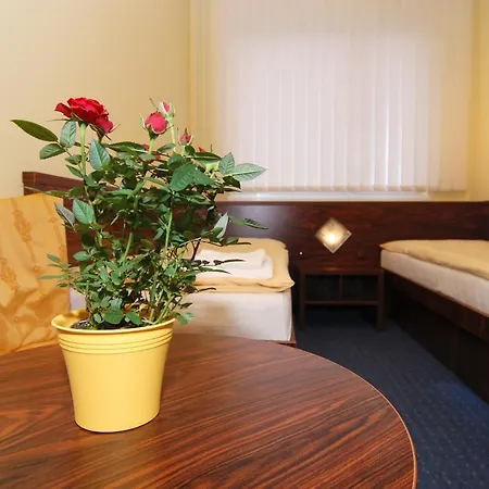 Bila Ruze Hotel Pisek (South Bohemian)