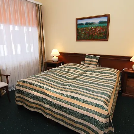 Hotel Bila Ruze Pisek (South Bohemian)